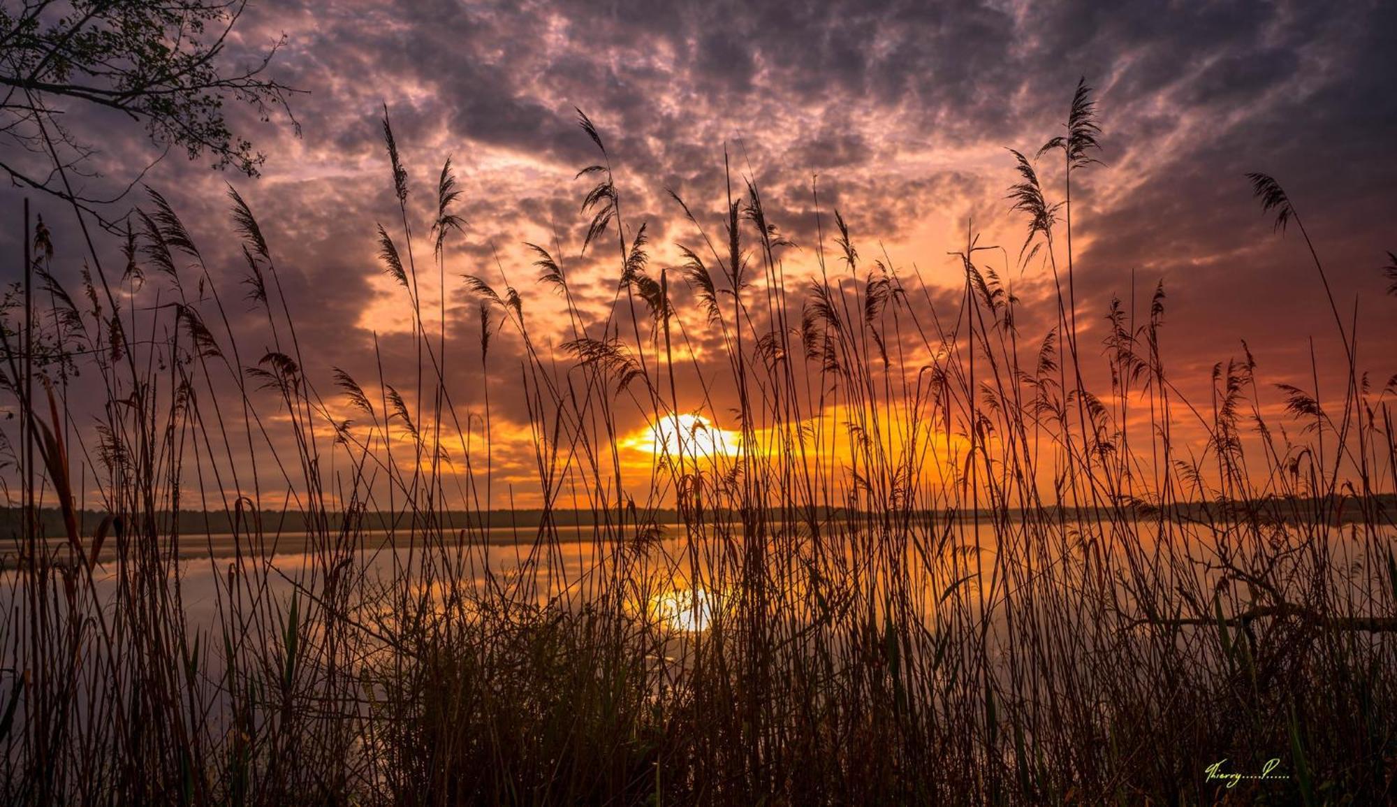 Vk Lake Aureilhan  Ngoại thất bức ảnh